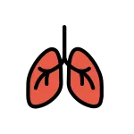 Lungs SVG Icon
